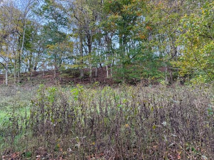 Reeves Creek Road Property