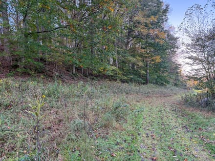 Reeves Creek Road Property