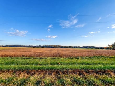 West Mansfield Country Canvas