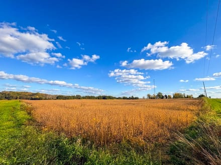 West Mansfield Country Canvas