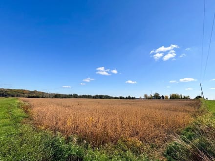 West Mansfield Country Canvas