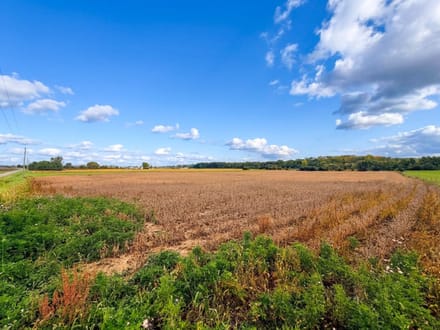 West Mansfield Country Canvas