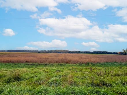 West Mansfield Country Canvas