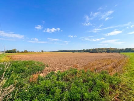 West Mansfield Country Canvas