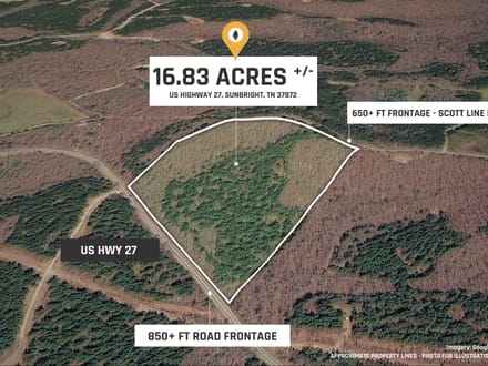 Sunbright Wooded Homesite & Hunting