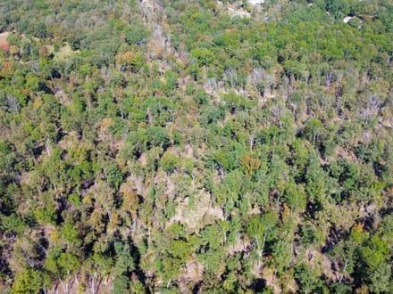 Oak Springs Road Private Homesite