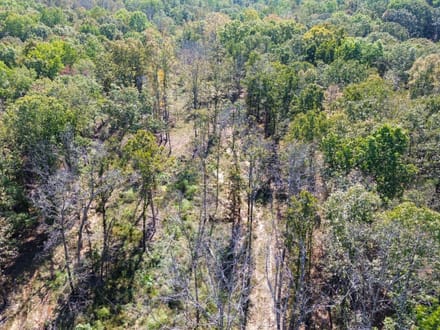Oak Springs Road Private Homesite