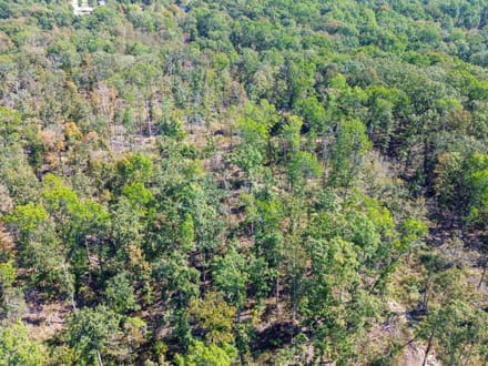 Oak Springs Road Private Homesite