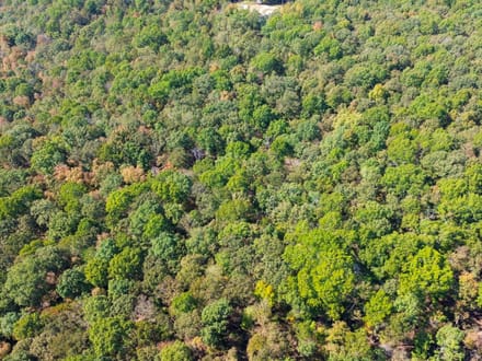 Oak Springs Road Private Homesite