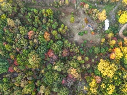 Nauvoo Pond Creek Benchtop Property