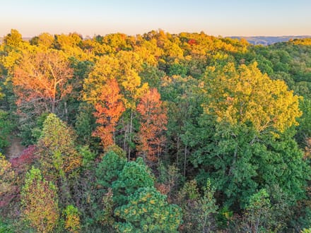 Nauvoo Pond Creek Benchtop Property