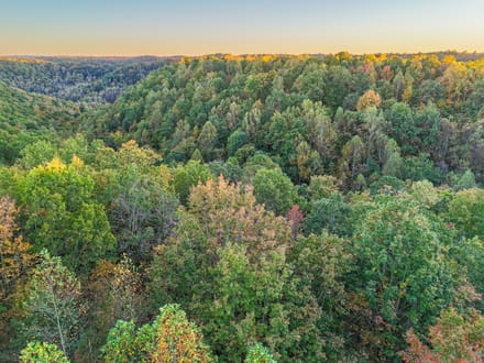 Nauvoo Pond Creek Benchtop Property