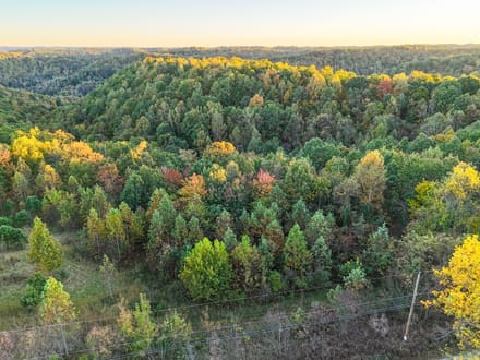 Nauvoo Pond Creek Benchtop Property