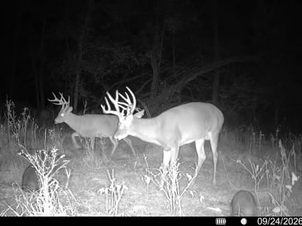 Deer Creek Big Bucks and Turkeys