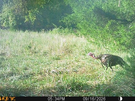 265 Rolling Timber Ranch Elk County, KS