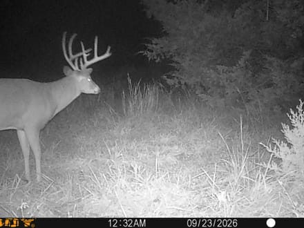 265 Rolling Timber Ranch Elk County, KS