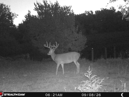 265 Rolling Timber Ranch Elk County, KS