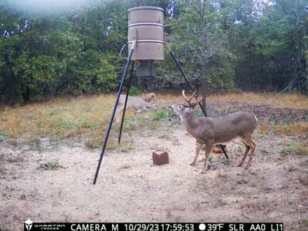 120+/- acre Recreational/Hunting with Trophy bass lake next door!