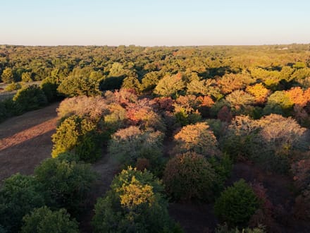 63 Acres | Land for Sale Guthrie OK — Two Ponds, Creeks, Water Well, 57 Adjoining Acres Available