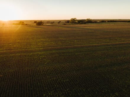 LIVE & ONLINE AUCTION - Tract 1 of 5  - 315+/- Acres In Barton County Kansas