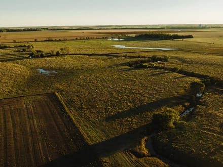 LIVE & ONLINE AUCTION - Tract 1 of 5  - 315+/- Acres In Barton County Kansas