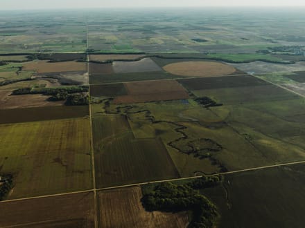 LIVE & ONLINE AUCTION - Tract 1 of 5  - 315+/- Acres In Barton County Kansas