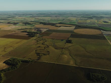 LIVE & ONLINE AUCTION - Tract 1 of 5  - 315+/- Acres In Barton County Kansas