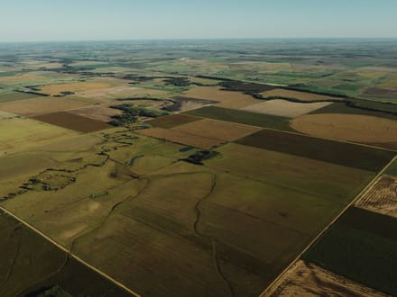 LIVE & ONLINE AUCTION - Tract 1 of 5  - 315+/- Acres In Barton County Kansas