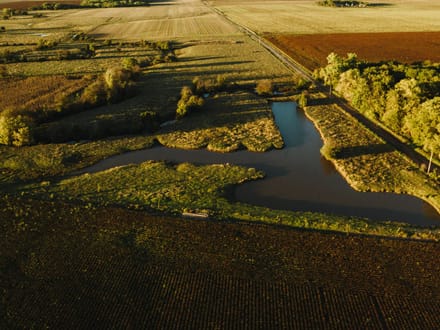 LIVE & ONLINE AUCTION - Tract 1 of 5  - 315+/- Acres In Barton County Kansas