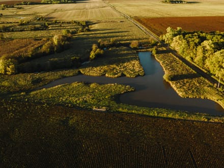 LIVE & ONLINE AUCTION - 1,044+/- Acres In Barton County, Kansas. Selling In 5 Tracts