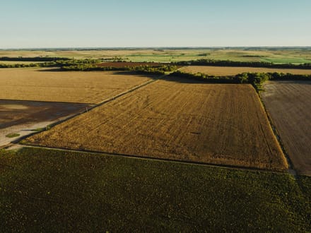LIVE & ONLINE AUCTION - Tract 5 of 5 - 236.7+/- Acres In Barton County Kansas