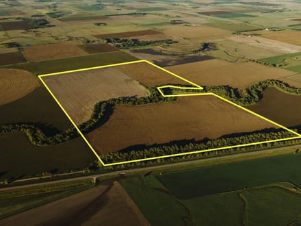 LIVE & ONLINE AUCTION - Tract 5 of 5 - 236.7+/- Acres In Barton County Kansas