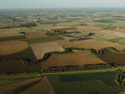 LIVE & ONLINE AUCTION - Tract 5 of 5 - 236.7+/- Acres In Barton County Kansas