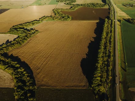 LIVE & ONLINE AUCTION - Tract 5 of 5 - 236.7+/- Acres In Barton County Kansas