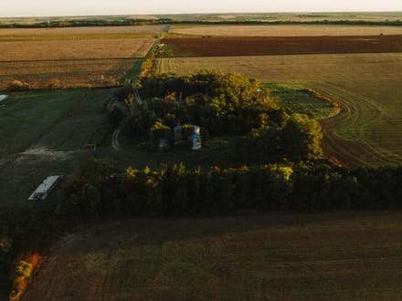 LIVE & ONLINE AUCTION - Tract 2 of 5 - 157+/- Acres In Barton County Kansas