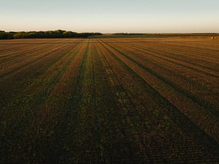 LIVE & ONLINE AUCTION - Tract 2 of 5 - 157+/- Acres In Barton County Kansas