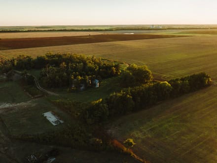 LIVE & ONLINE AUCTION - Tract 2 of 5 - 157+/- Acres In Barton County Kansas
