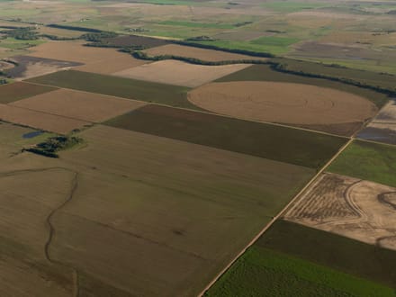 LIVE & ONLINE AUCTION - Tract 2 of 5 - 157+/- Acres In Barton County Kansas