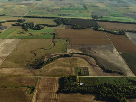 LIVE & ONLINE AUCTION - Tract 3 of 5 - 237.5+/- Acres In Barton County Kansas