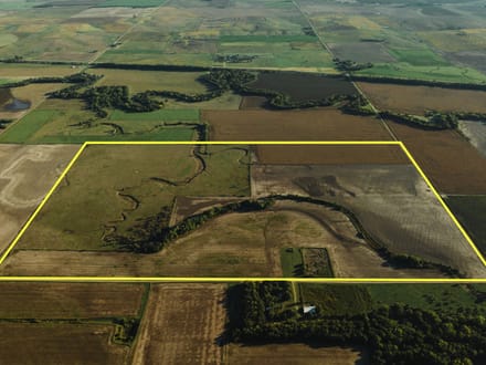 LIVE & ONLINE AUCTION - Tract 3 of 5 - 237.5+/- Acres In Barton County Kansas