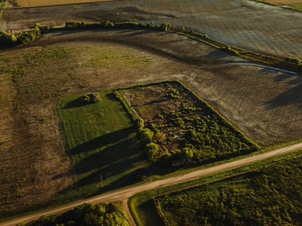 LIVE & ONLINE AUCTION - Tract 3 of 5 - 237.5+/- Acres In Barton County Kansas