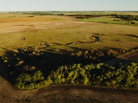 LIVE & ONLINE AUCTION - Tract 3 of 5 - 237.5+/- Acres In Barton County Kansas