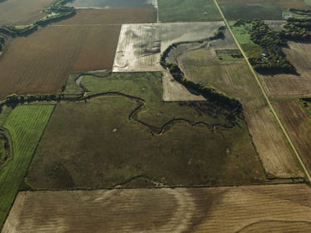LIVE & ONLINE AUCTION - Tract 3 of 5 - 237.5+/- Acres In Barton County Kansas