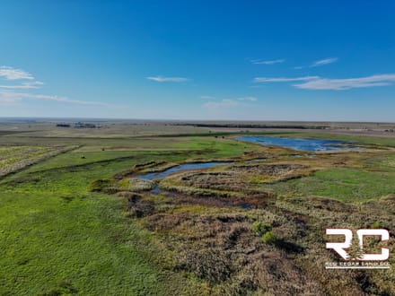 318.51 ± Mixed-Use Acres in Ness County, Kansas