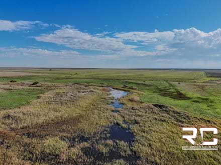 318.51 ± Mixed-Use Acres in Ness County, Kansas