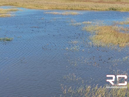 318.51 ± Mixed-Use Acres in Ness County, Kansas