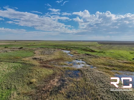 318.51 ± Mixed-Use Acres in Ness County, Kansas