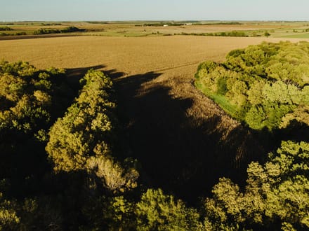 LIVE & ONLINE AUCTION - Tract 4 of 5 - 98.2+/- Acres In Barton County Kansas