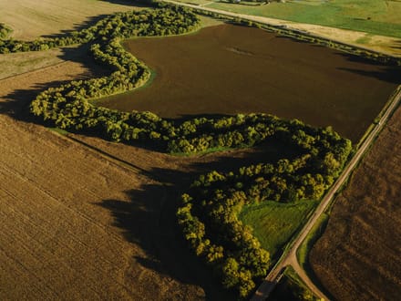 LIVE & ONLINE AUCTION - Tract 4 of 5 - 98.2+/- Acres In Barton County Kansas
