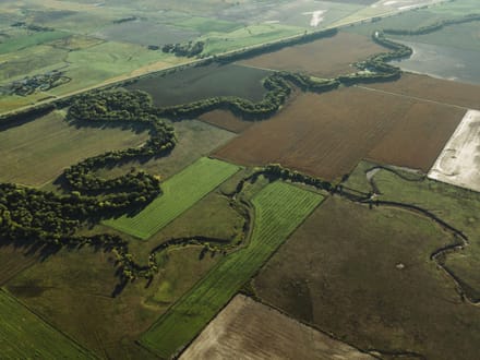LIVE & ONLINE AUCTION - Tract 4 of 5 - 98.2+/- Acres In Barton County Kansas